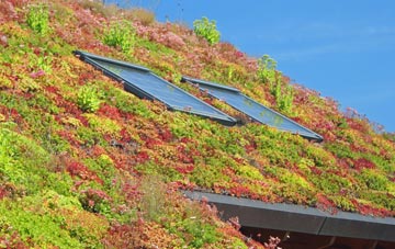 Breckles living roof systems